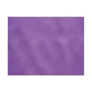 Set de table 30x40cm uni Amethyste (aubergine)